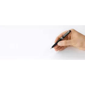 montblanc - stylo bille meisterstück platinum line hommage à w.a. mozart (petit modèle)