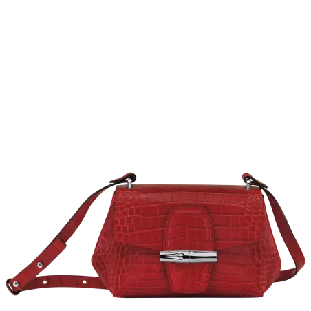 longchamp - sac porté travers xs  roseau
