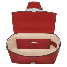 longchamp - sac porté travers xs  roseau