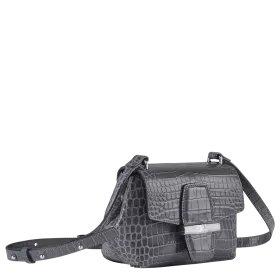 longchamp - sac porté travers xs  roseau