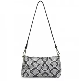 lancaster - pochette exotic