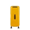 Valise à 4 roues 76cm IBON de Samsonite