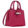 Longchamp - Le Roseau sac à main XS